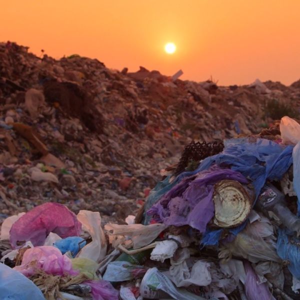 SCIENCE 101 PLASTICS intelligence overview